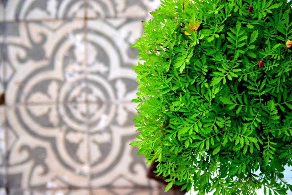 Riad Khmisa Tétouan Dış mekan fotoğraf